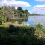 Etang de la Provostière 2 peche-etang-de-la-provostiere-1.jpg
