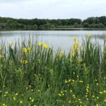 Etang du Mez Savary 3 peche-etang-du-mez-savary-1.jpg
