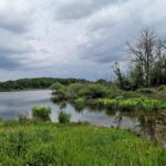 Etang du Ponteil 5 peche-etang-du-ponteil-1.jpg