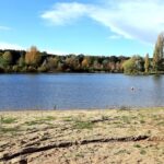 Lac de Chatellerault 3 peche-lac-de-chatellerault-1.jpg