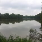 peche-plan-d-eau-de-venas-1.jpg